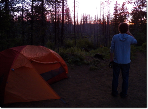 Robey looking at the sunset